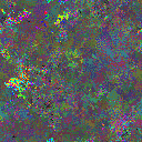 World at epoch 37000