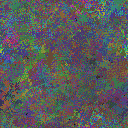 World at epoch 40000