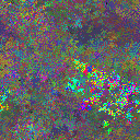 World at epoch 38000