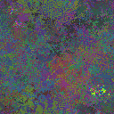 World at epoch 35000