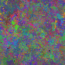 World at epoch 40000