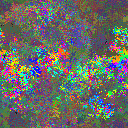 World at epoch 39000