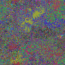 World at epoch 20000