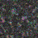 World at epoch 1000
