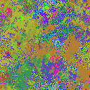 World at epoch 17000