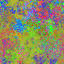 World at epoch 19000