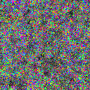 World at epoch 20000