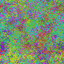 World at epoch 20000