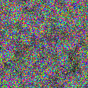 World at epoch 19000