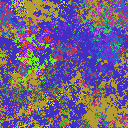 World at epoch 6000