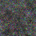 World at epoch 6000