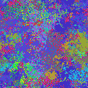 World at epoch 10000