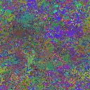 World at epoch 25000