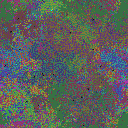 World at epoch 24000
