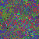 World at epoch 25000