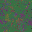 World at epoch 34000