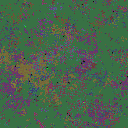 World at epoch 35000