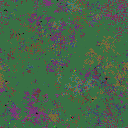 World at epoch 38000