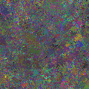 World at epoch 25000