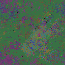 World at epoch 40000