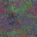 World at epoch 25000