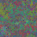 World at epoch 39000
