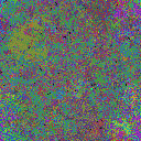 World at epoch 40000