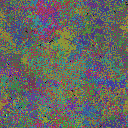 World at epoch 25000