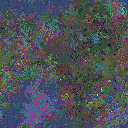World at epoch 25000