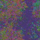World at epoch 35000