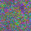 World at epoch 19000