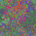 World at epoch 49000