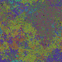 World at epoch 37000