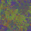 World at epoch 38000