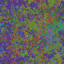World at epoch 40000