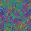 World at epoch 35000