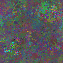 World at epoch 37000