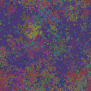 World at epoch 47000