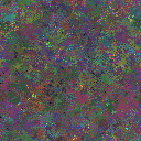 World at epoch 25000
