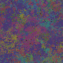 World at epoch 49000