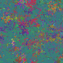 World at epoch 40000