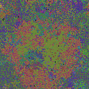 World at epoch 47000