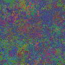 World at epoch 50000