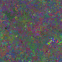 World at epoch 40000