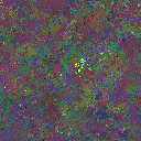 World at epoch 49000