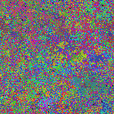 World at epoch 24000