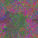 World at epoch 24000
