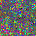 World at epoch 25000