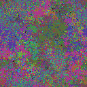 World at epoch 25000