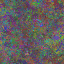 World at epoch 50000
